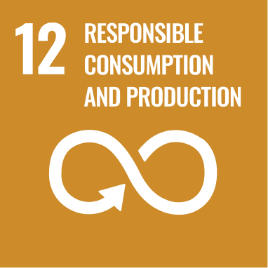 UN SDG 12 to Ensure sustainable consumption and production patterns